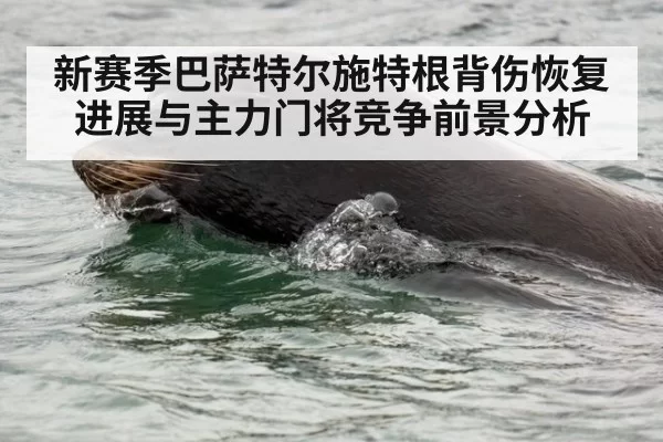 新赛季巴萨特尔施特根背伤恢复进展与主力门将竞争前景分析
